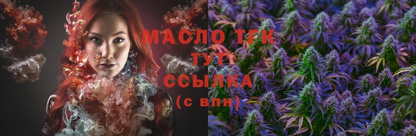 индика Абдулино