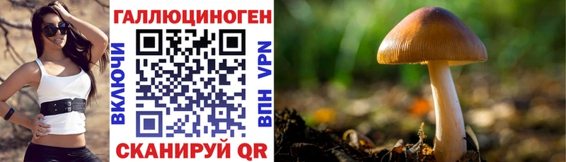 Галлюциногенные грибы GOLDEN TEACHER  omg сайт  Райчихинск 